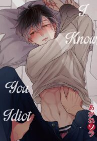 I Know, You Idiot