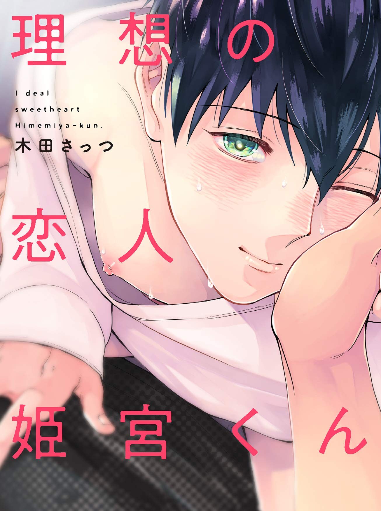 Ideal Sweetheart Himemiya-kun Yaoi Smut BL Manga