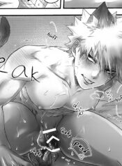 Boku no Hero Academia dj – Summer Night Animals