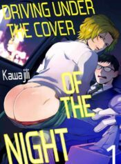 Driving Under the Cover of the Night