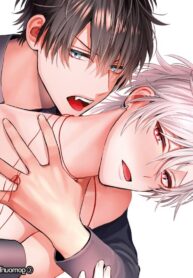 Unmei Sugite Tsugae Masen Yaoi Omegaverse Manga BL