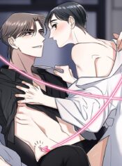 Libido Effect