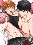 3-Angle Lovers