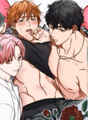 3-Angle Lovers