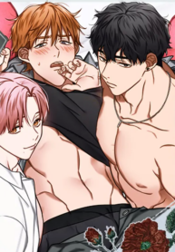 3-Angle Lovers