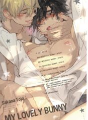 Hoshi no Usagi Yaoi Smut Fluff BL Manga (3)