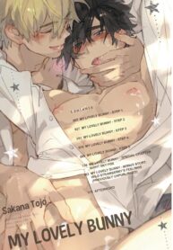 Hoshi no Usagi Yaoi Smut Fluff BL Manga (3)