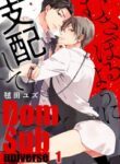 DomSub universe Yaoi BDSM BL Manga Smut