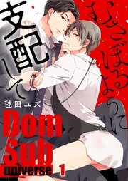 DomSub universe Yaoi BDSM BL Manga Smut