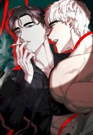 Wolf in The Cage